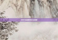 DNF白金徽章怎么镶嵌