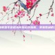 英雄联盟手游诺克萨斯出装指南，掌握胜利的关键