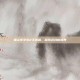 爆炎怀孕乳2手机版，探索游戏新境界