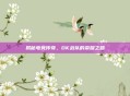 揭秘电竞传奇,DK战队的荣耀之路