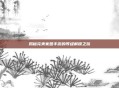 揭秘完美家园手游的等级解锁之旅