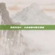 南瓜先生2，九龙城寨攻略全解析