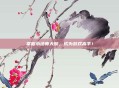 掌握小法师天赋,成为游戏高手!