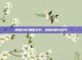 掌握DNF黑暗之刃，终极攻略与技巧