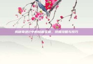 揭秘奇迹2中的隐藏宝藏，终极攻略与技巧