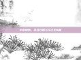 小草辅助，游戏攻略与技巧全解析