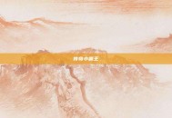传奇小霸王