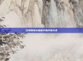 口袋妖怪心金金手指代码大全