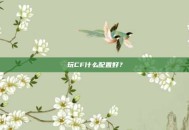 玩CF什么配置好？