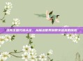 洛克王国代码大全，从魔法世界到数字迷宫的探索
