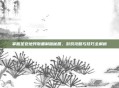 掌握圣安地列斯重制版秘籍,游戏攻略与技巧全解析