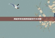揭秘传奇挂机的隐藏技巧与攻略