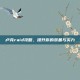 卢克raid攻略，提升你的装备与实力