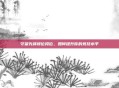 守望先锋排位段位，如何提升你的竞技水平