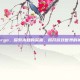 Abstergo，探索未知的深渊，揭开游戏世界的神秘面纱