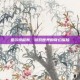 亚尔特留斯，游戏世界的奇幻探险