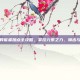 诺亚传说异能者加点全攻略，掌控元素之力，输出与生存兼得