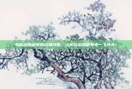 揭秘龙翔密传的终极攻略，让你在游戏世界中一飞冲天！