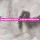 DNF职业PK实力大比拼，哪个职业在PK中最为出色？