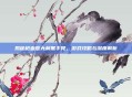 揭秘枪血意大利黑手党，游戏攻略与深度解析