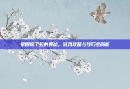 掌握扇子妈的奥秘，游戏攻略与技巧全解析
