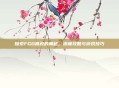 探索FGO嬴政的奥秘，深度攻略与游戏技巧