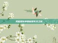 揭秘星际争霸秘籍失效之谜