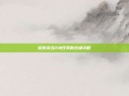 探索武当2内任务的终极攻略