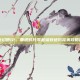 最终幻想12，黄道时代零基础到进阶完美攻略指南