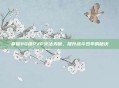 掌握80级PVP火法天赋，提升战斗效率的秘诀