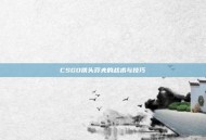 CSGO铁头莽夫的战术与技巧