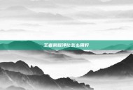王者荣耀净化怎么用好