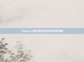 Steam上最火的叛逆连队游戏攻略