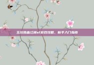 玉川热血江湖sf游戏攻略，新手入门指南