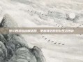 梦幻西游自动喊话器，便利背后的游戏生态博弈