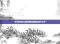 掌握神魔大陆法师天赋加点的艺术