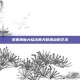 掌握神魔大陆法师天赋加点的艺术