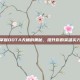 掌握DOTA天梯的奥秘，提升你的英雄实力