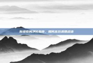 斯坦索姆净化指南，如何高效清理战场
