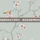 掌握模拟游戏下载技巧，畅享虚拟世界的乐趣