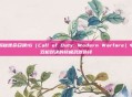 揭秘使命召唤16（Call of Duty: Modern Warfare）中双枪对决的终极武器选择