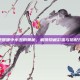 奇迹暖暖中小丑的奥秘，解锁隐藏彩蛋与搭配技巧
