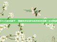 2345游戏盒子，海量游戏资源与高效游戏攻略一站式解析