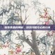探索费恩的奥秘，游戏攻略与心得分享