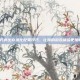 掌握方舟生存进化配置技巧，让你的游戏体验更加畅快！