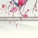 Dota 2蚂蚁出装攻略，高效装备选择指南