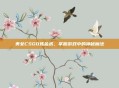 美女CSGO炼金术，掌握游戏中的神秘魔法