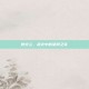 炮火兰，战火中的坚韧之花