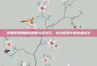 掌握流星蝴蝶剑枪的大招技巧，成为游戏中的终极战士