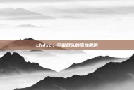 chdxc，宇宙尽头的孤独回响
